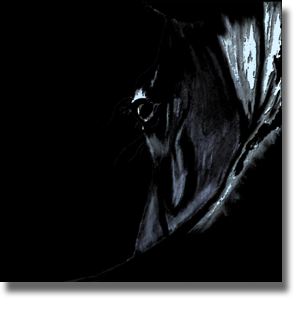 Horse - Black Horse - Black